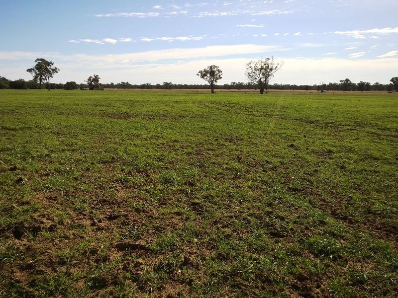 ‘Oongarah’, Pallamallawa NSW 2399