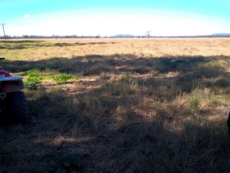 ‘Oongarah’, Pallamallawa NSW 2399