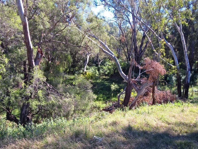 ‘Oongarah’, Pallamallawa NSW 2399