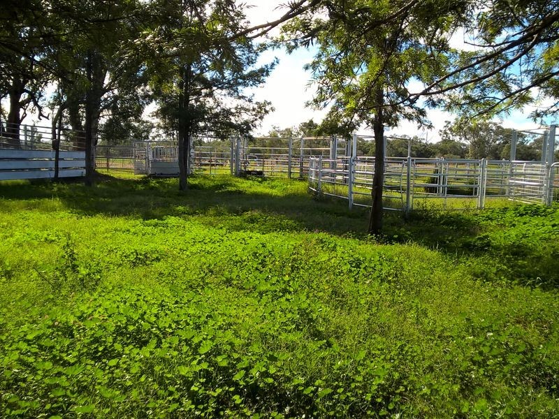 ‘Oongarah’, Pallamallawa NSW 2399