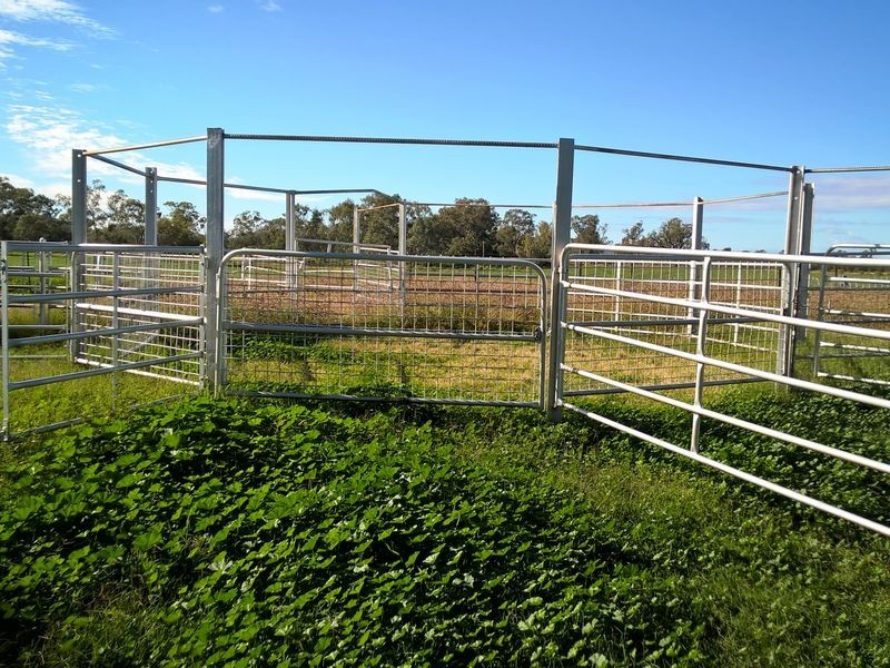 ‘Oongarah’, Pallamallawa NSW 2399