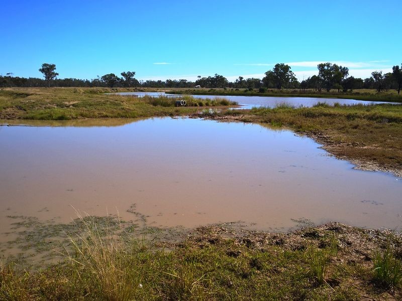 ‘Oongarah’, Pallamallawa NSW 2399