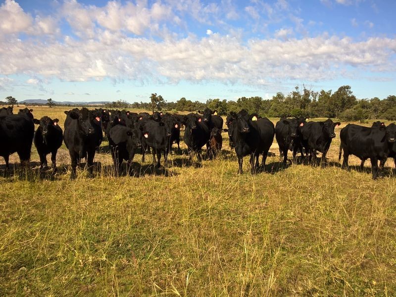 ‘Oongarah’, Pallamallawa NSW 2399