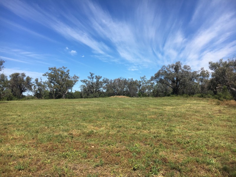 1 Watercourse Road, Moree NSW 2400