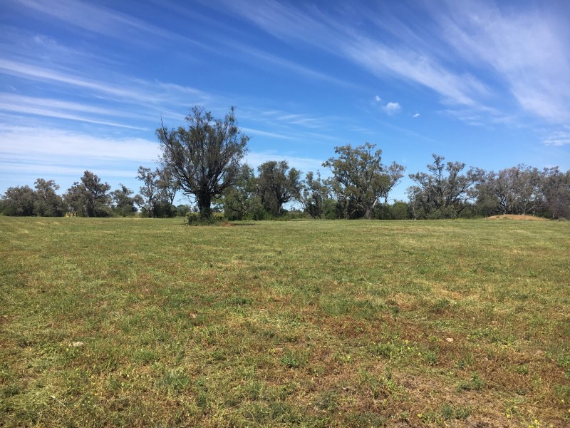 1 Watercourse Road, Moree NSW 2400