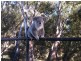 51 River Road, Moree NSW 2400