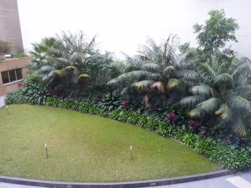 24/107 Quay Street, Haymarket NSW 2000