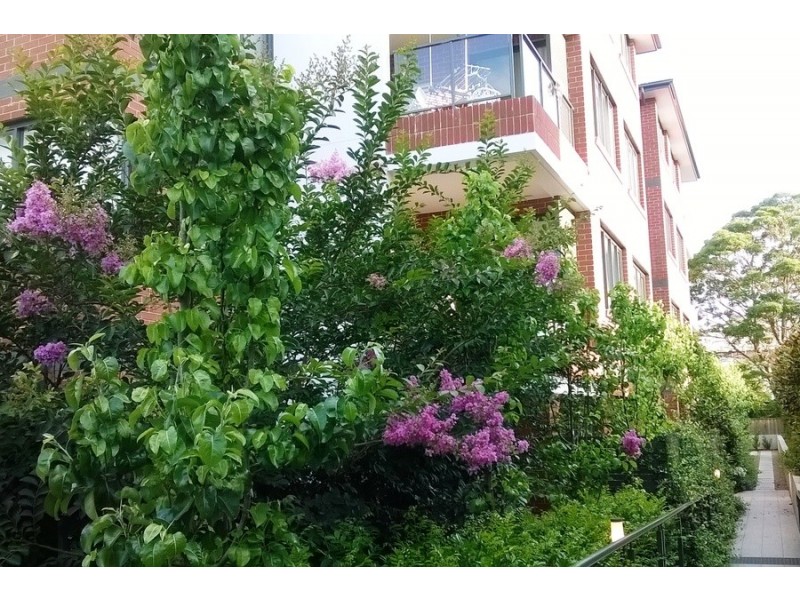 105/245-247 Carlingford Road, Carlingford NSW 2118