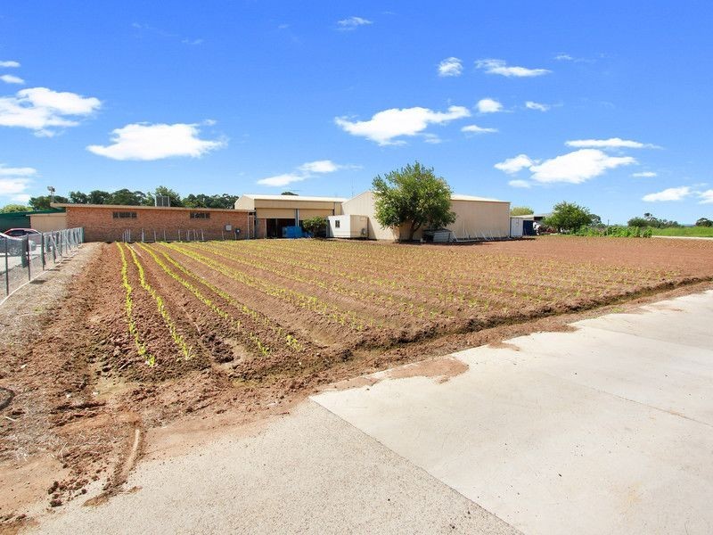 312 Third Ave, Llandilo NSW 2747