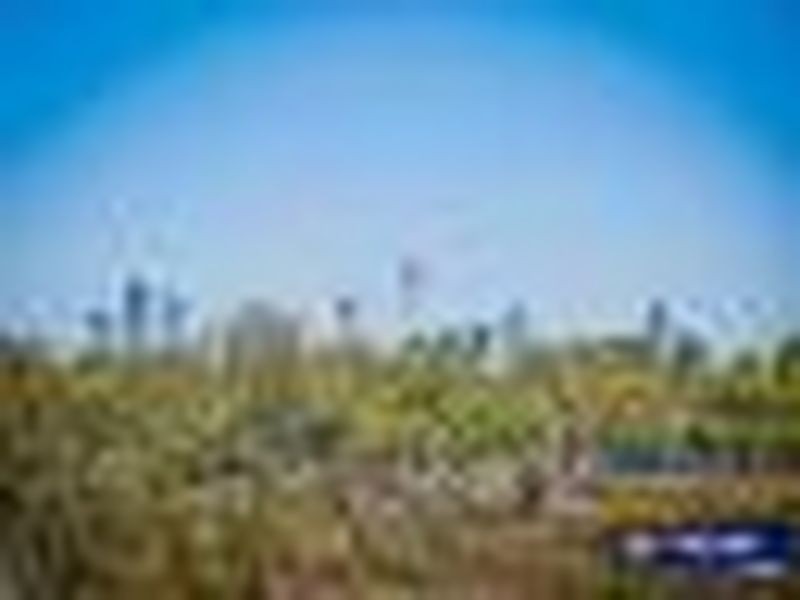 164/1-15 Fontenoy Road, Macquarie Park NSW 2113