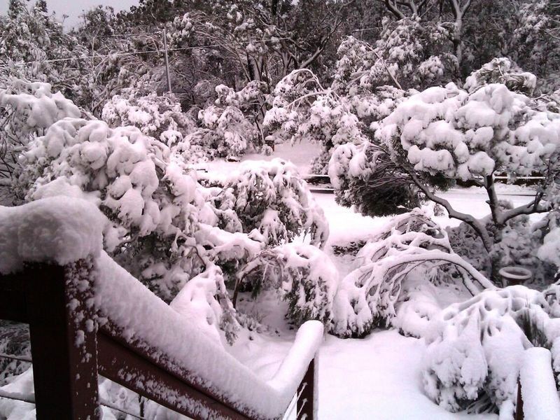 120 Stuarts Road, Katoomba NSW 2780