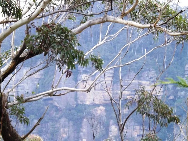 120 Stuarts Road, Katoomba NSW 2780