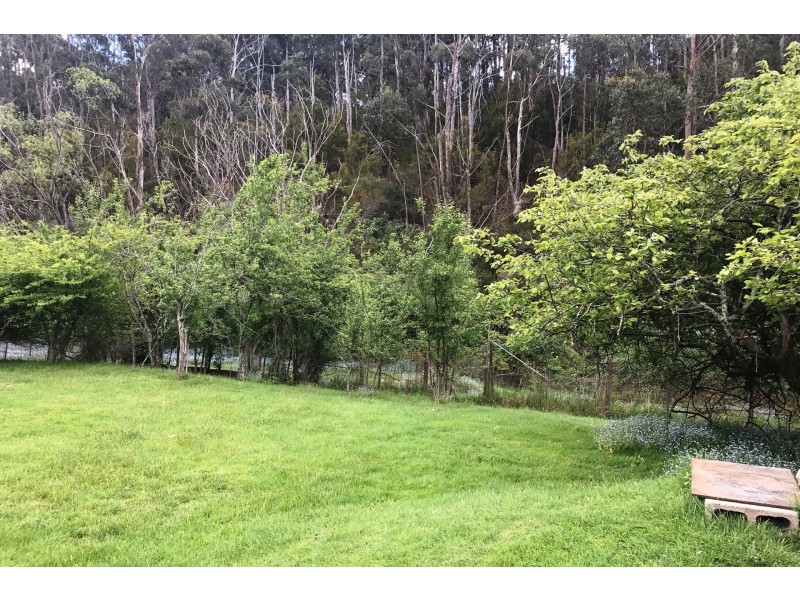 71 Strickland Avenue, South Hobart TAS 7004