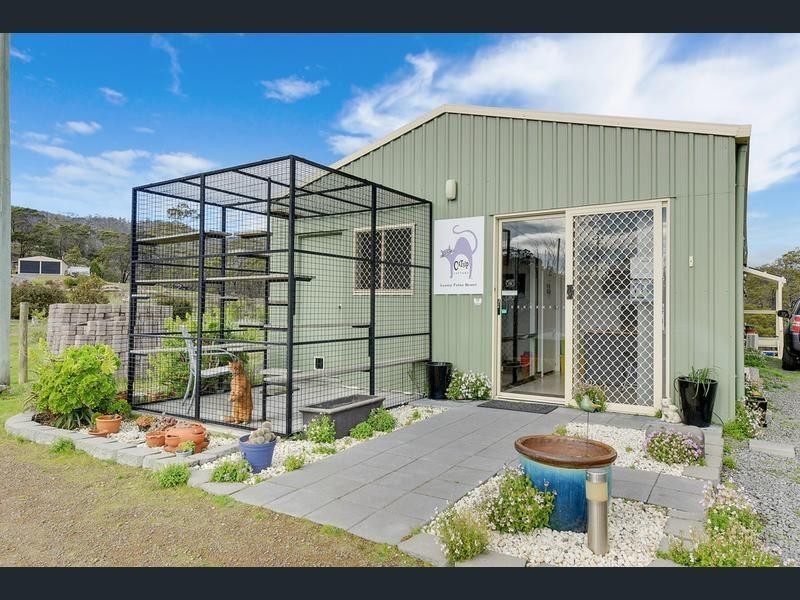 56A Kathleen Drive, Old Beach TAS 7017