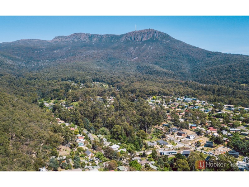 128 Strickland Avenue, South Hobart TAS 7004