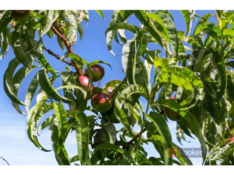 1a Bay Road, New Town TAS 7008