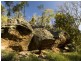 Lot 5 and 6/1190 Marked Tree Road, Hollow Tree TAS 7140