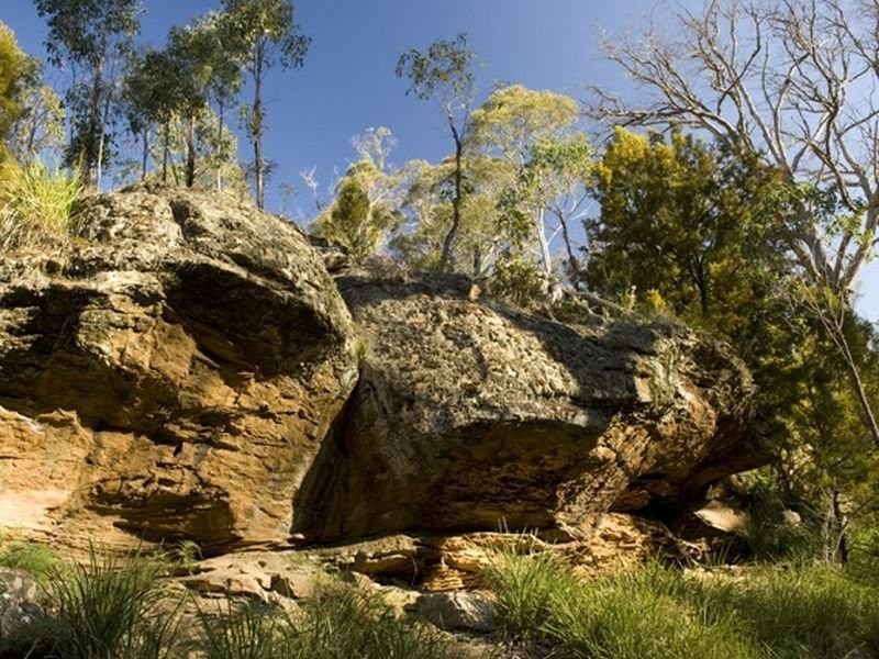 Lot 5 and 6/1190 Marked Tree Road, Hollow Tree TAS 7140