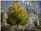 Lot 5 and 6/1190 Marked Tree Road, Hollow Tree TAS 7140