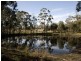 Lot 5 and 6/1190 Marked Tree Road, Hollow Tree TAS 7140