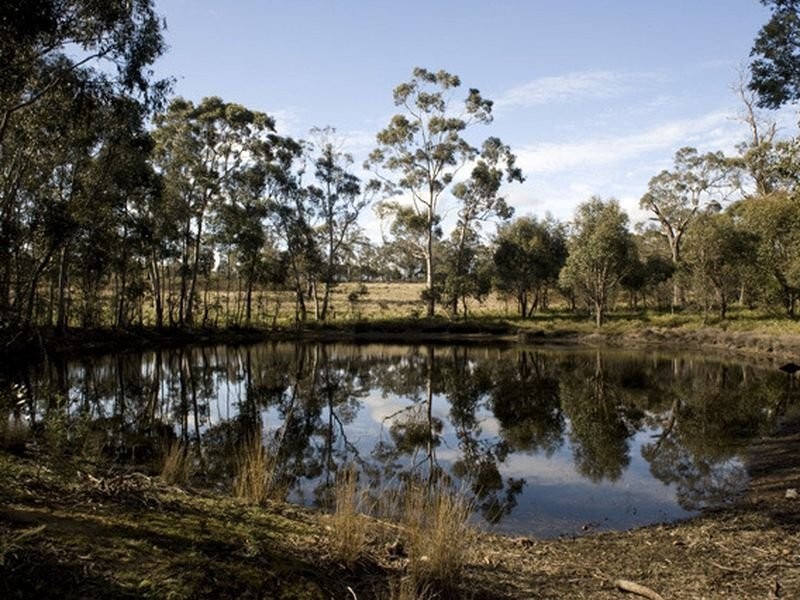 Lot 5 and 6/1190 Marked Tree Road, Hollow Tree TAS 7140