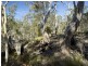 Lot 5 and 6/1190 Marked Tree Road, Hollow Tree TAS 7140