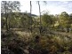 Lot 5 and 6/1190 Marked Tree Road, Hollow Tree TAS 7140