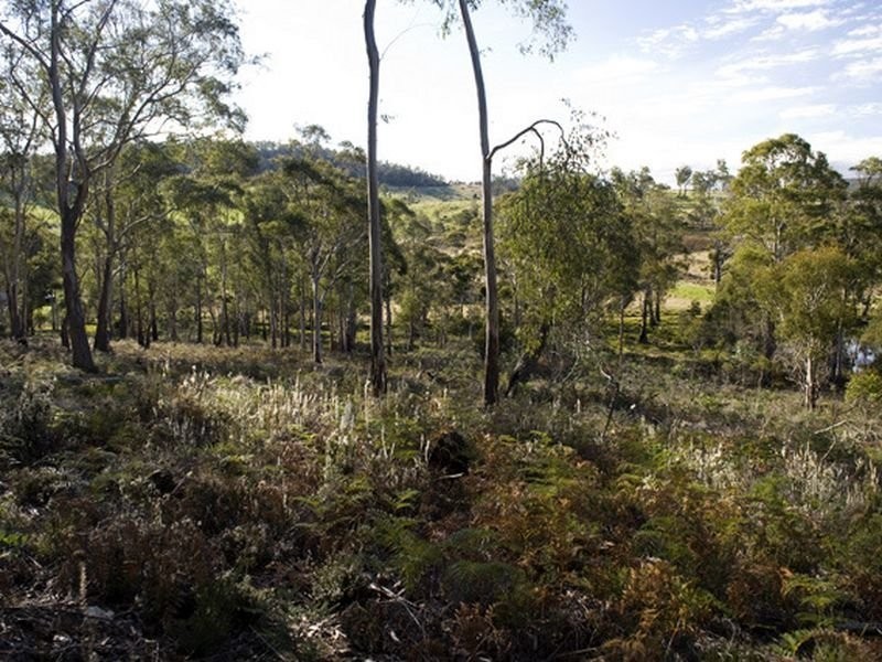 Lot 5 and 6/1190 Marked Tree Road, Hollow Tree TAS 7140