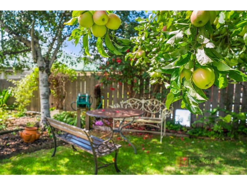 26 Adelaide Street, South Hobart TAS 7004