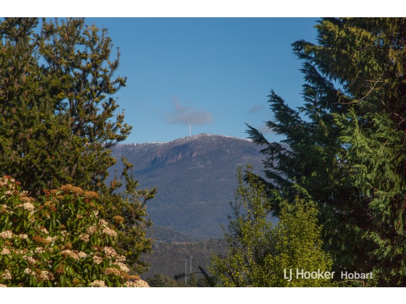 2/165 East Derwent Highway, Lindisfarne TAS 7015