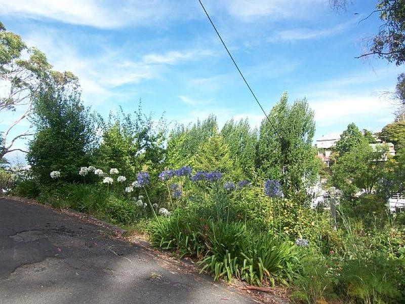 1/3 Mcaulay Road, Sandy Bay TAS 7005