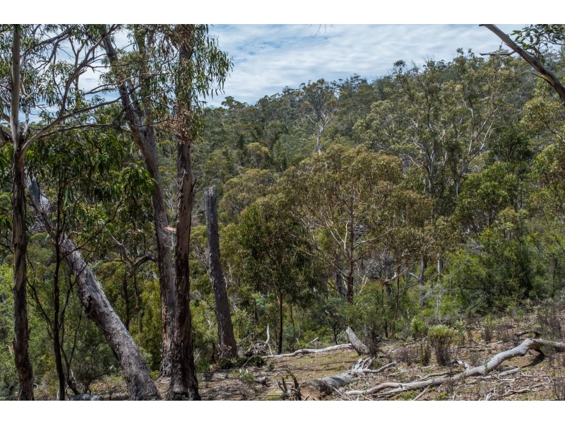 990 Roaring Beach Road, Nubeena TAS 7184