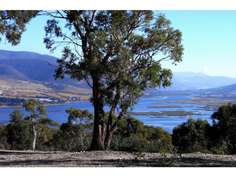 31 Cobbs Hill Road, Bridgewater TAS 7030