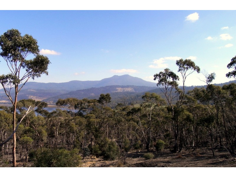 31 Cobbs Hill Road, Bridgewater TAS 7030