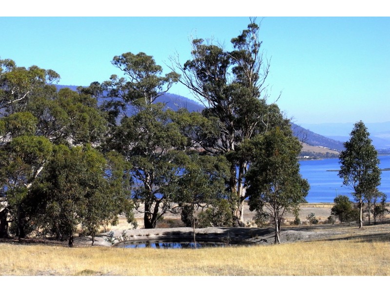 31 Cobbs Hill Road, Bridgewater TAS 7030