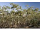 31 Cobbs Hill Road, Bridgewater TAS 7030