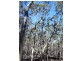 31 Cobbs Hill Road, Bridgewater TAS 7030