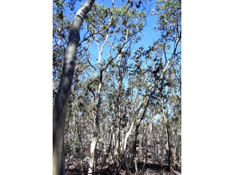 31 Cobbs Hill Road, Bridgewater TAS 7030