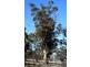 31 Cobbs Hill Road, Bridgewater TAS 7030
