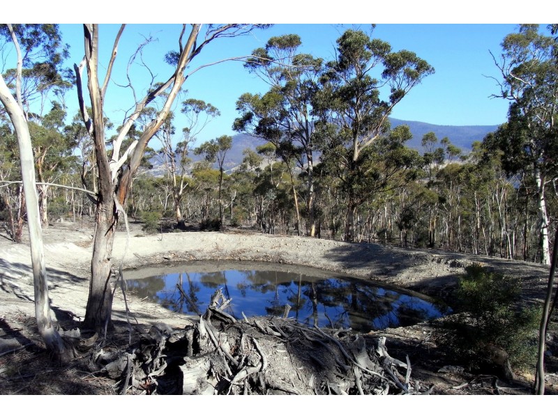 31 Cobbs Hill Road, Bridgewater TAS 7030