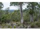 990/ Roaring Beach Road, Nubeena TAS 7184