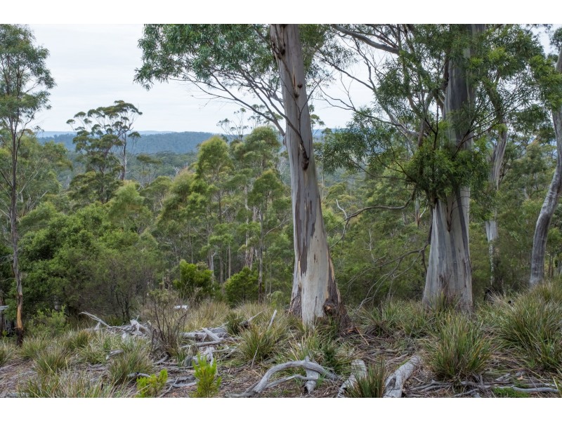 990/ Roaring Beach Road, Nubeena TAS 7184