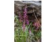 990/ Roaring Beach Road, Nubeena TAS 7184