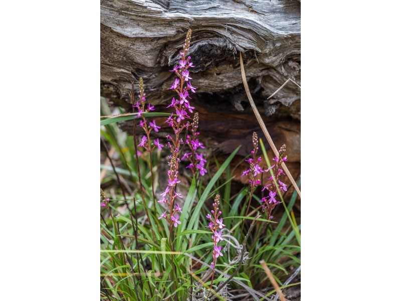 990/ Roaring Beach Road, Nubeena TAS 7184