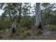 990/ Roaring Beach Road, Nubeena TAS 7184