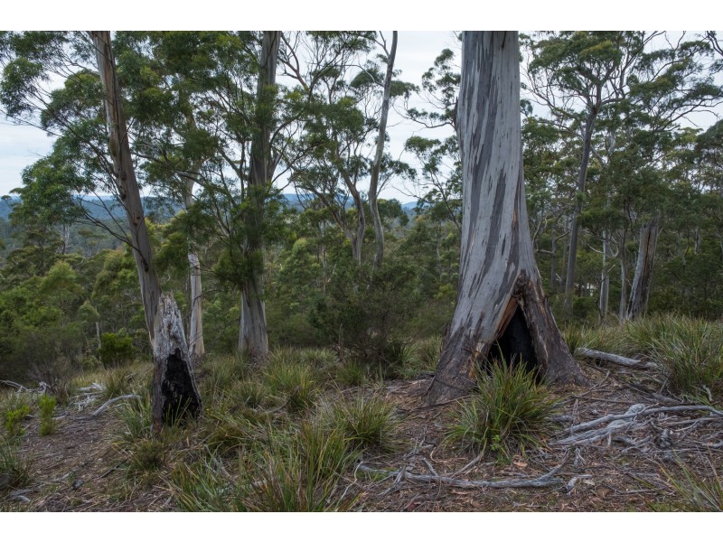 990/ Roaring Beach Road, Nubeena TAS 7184