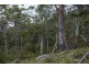 990/ Roaring Beach Road, Nubeena TAS 7184