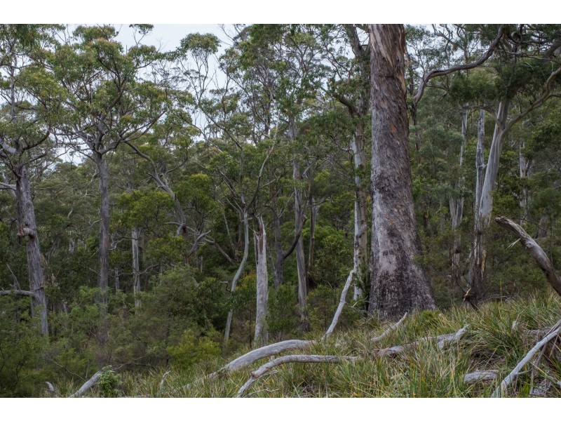 990/ Roaring Beach Road, Nubeena TAS 7184