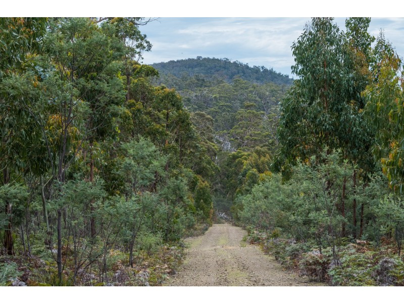 990/ Roaring Beach Road, Nubeena TAS 7184