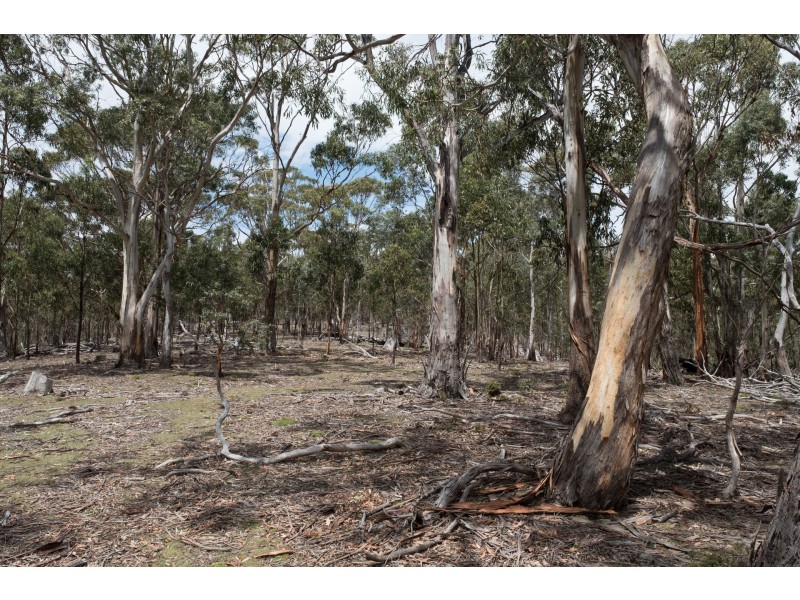 990/ Roaring Beach Road, Nubeena TAS 7184